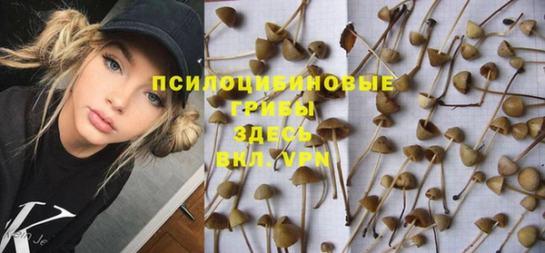 меф Алексин
