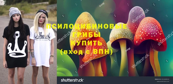 альфа пвп Алексеевка