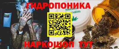 гашишное масло Берёзовский