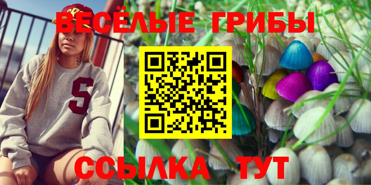 Галлюциногенные грибы Psilocybe Дедовск